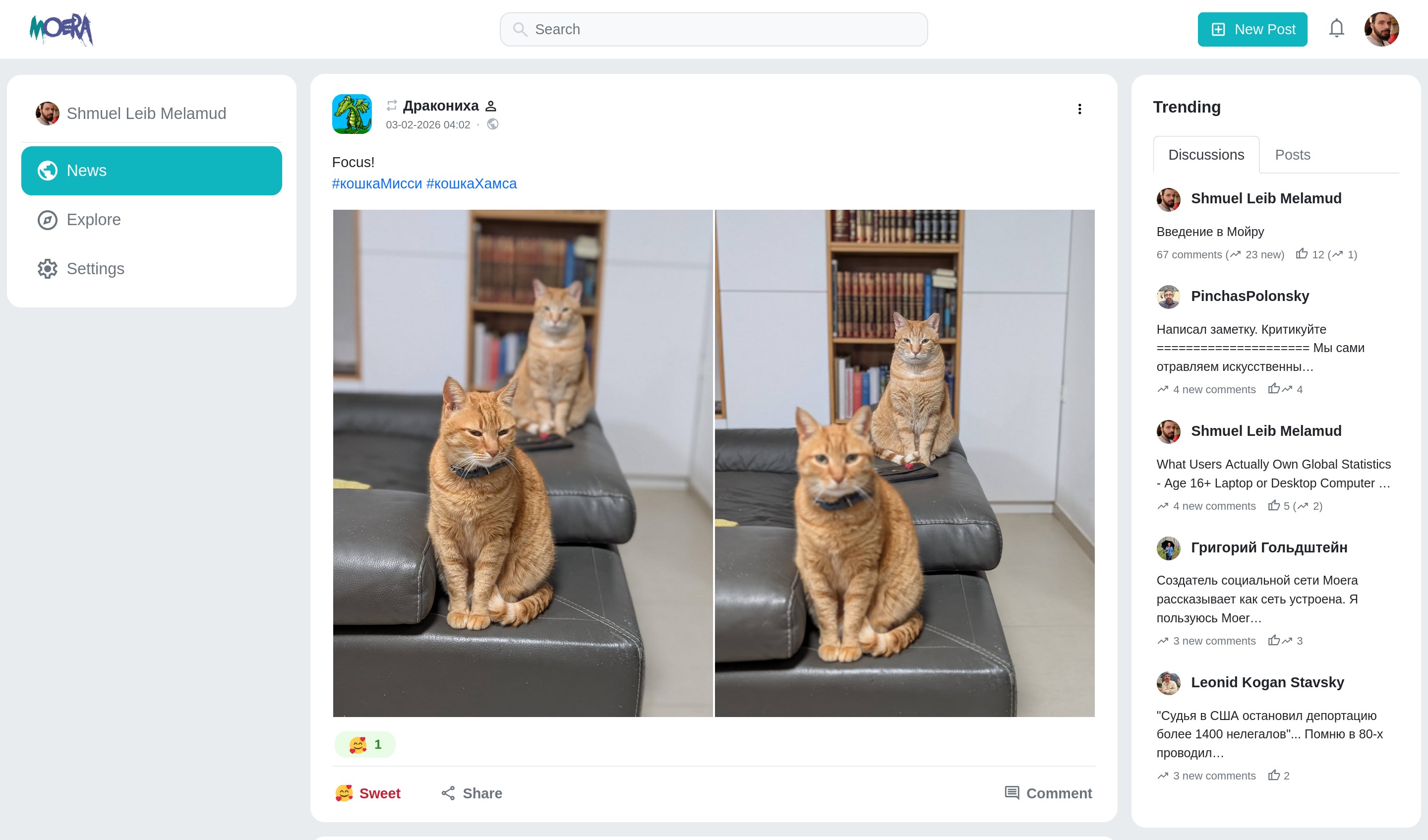 Moera Browser Screenshot